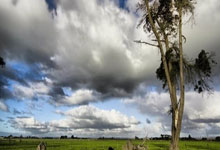 开云体育app-塞维利亚德比夜：火焰熄灭！贝蒂斯主场浇灭死敌连胜神话