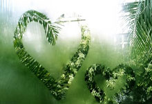 开云体育app-塞维利亚德比夜：火焰熄灭！贝蒂斯主场浇灭死敌连胜神话