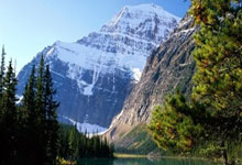 开云官网-沙尔克后防惊变！伤病潮下的战术革命迫在眉睫