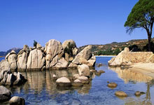 开云官网-沙尔克后防惊变！伤病潮下的战术革命迫在眉睫