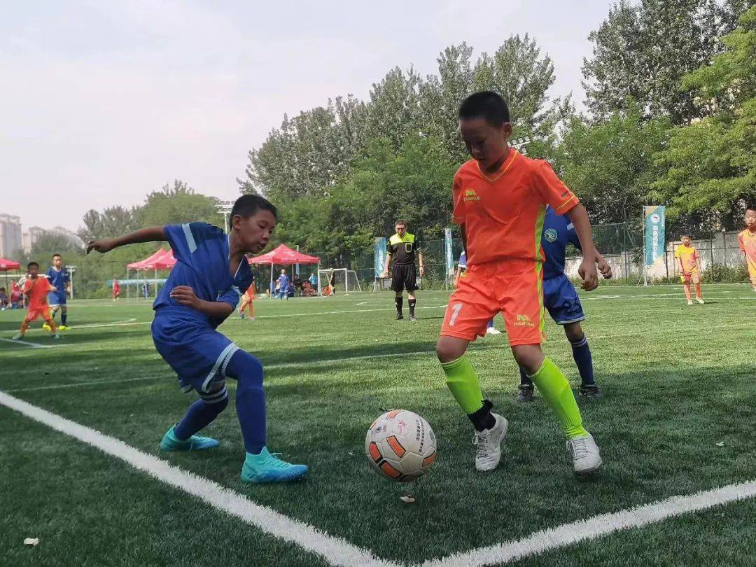 开云APP-球队成绩大幅提升，展现出强大的竞争力的简单介绍