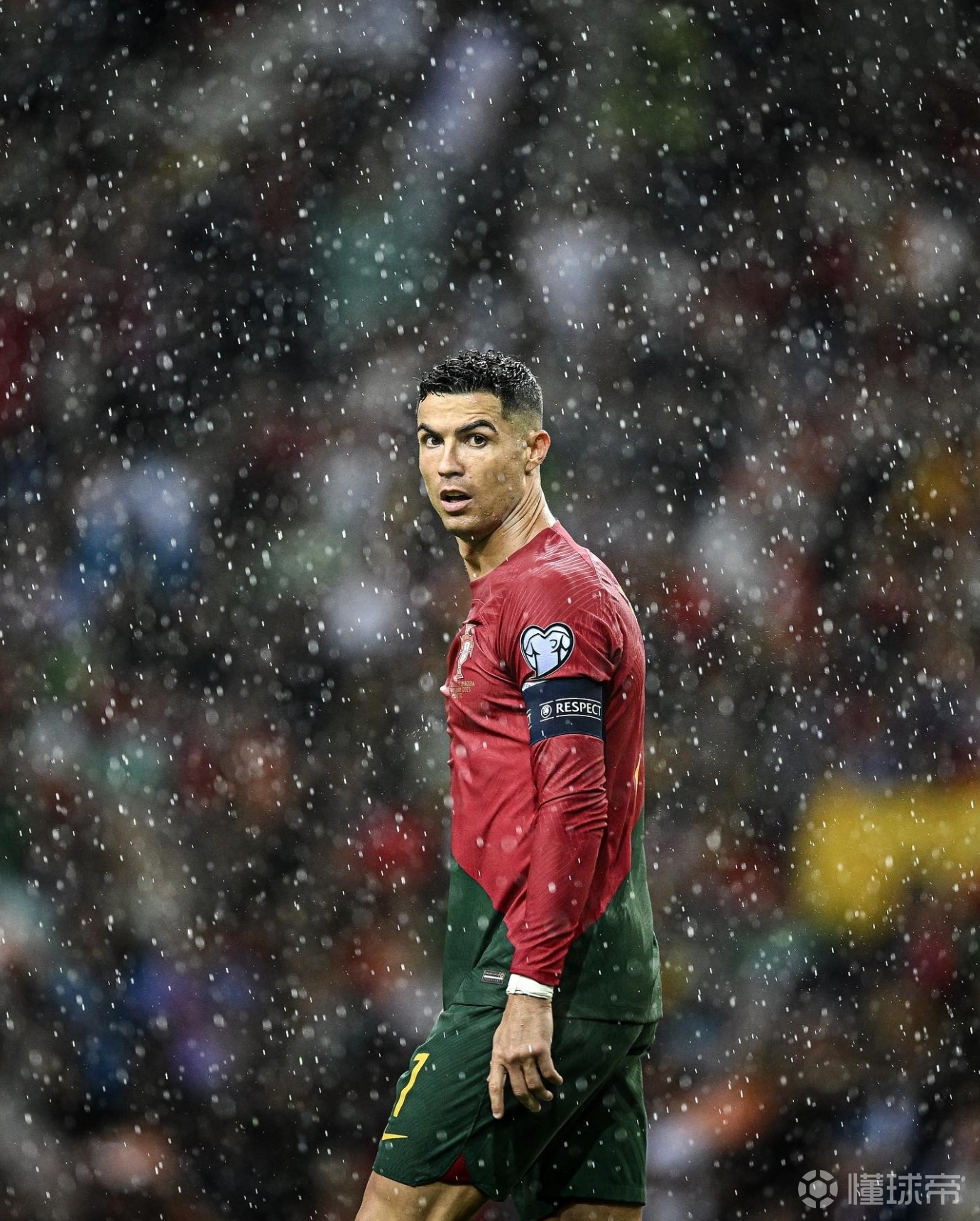 德国代表队表现亮眼,勇夺奖牌 德国代表队表现亮眼,勇夺奖牌