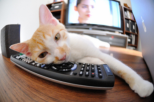 开云体育app-爵士强行终结凯尔特人，字母哥存在感拉满，NBA赛场上的冰与火之歌