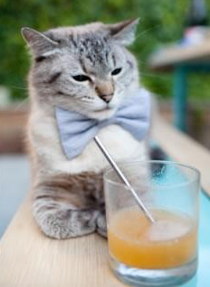 开云平台-当2026世界杯成为马刺与雷霆的决斗场