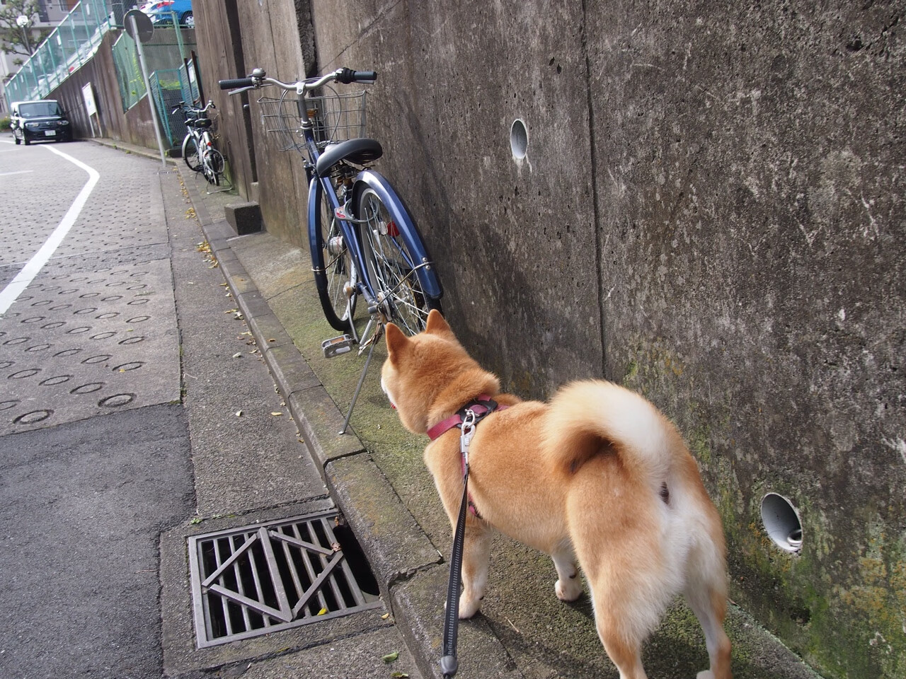 死神降临与南海岸铁壁,杜兰特献制胜演出,热火强行终结凯尔特人
