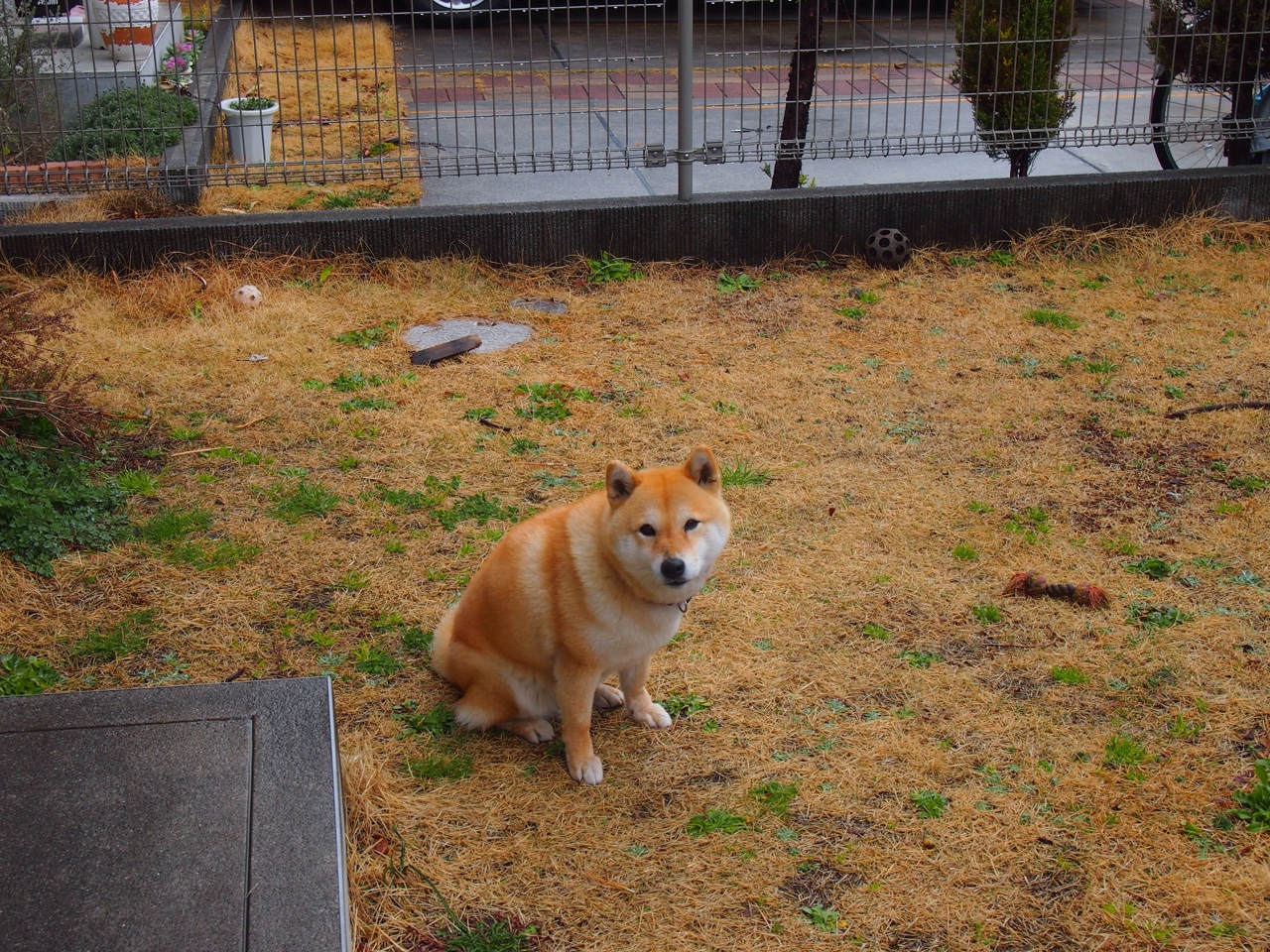 开云体育平台APP-跨界突破，浙江队强势晋级热火，浓眉成为关键先生