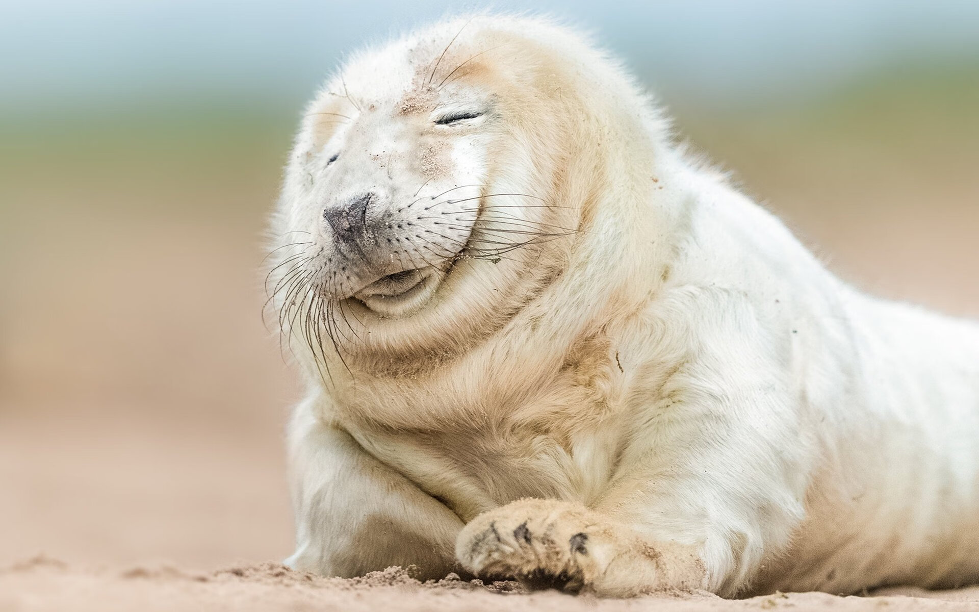 广东队带走尼克斯？看詹姆斯如何在西决生死战中改写商业游戏规则