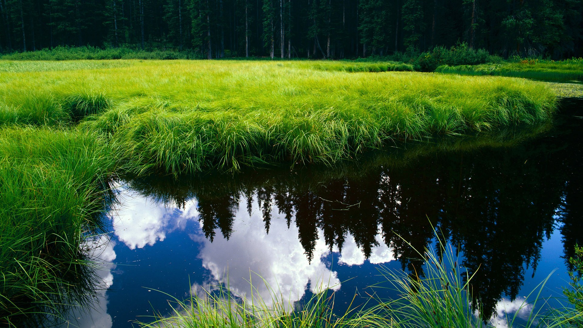 开云体育入口-格列兹曼，划破欧冠夜空的流星
