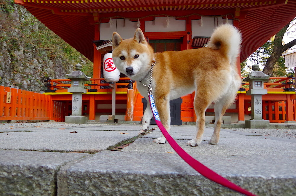 开云体育入口-对阵马刺，广东队用詹姆斯的方式打赢了阵地战