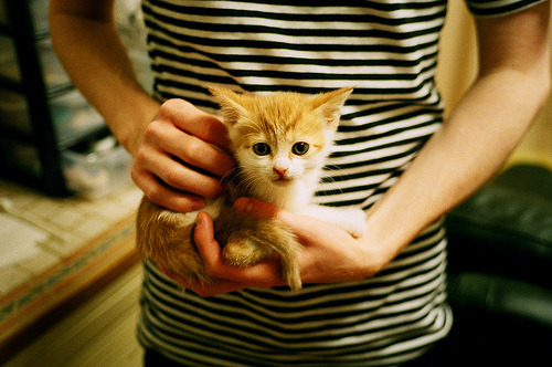 克瓦拉茨赫利亚爆发闪耀绿茵，塞内加尔巅峰对决力克委内瑞拉