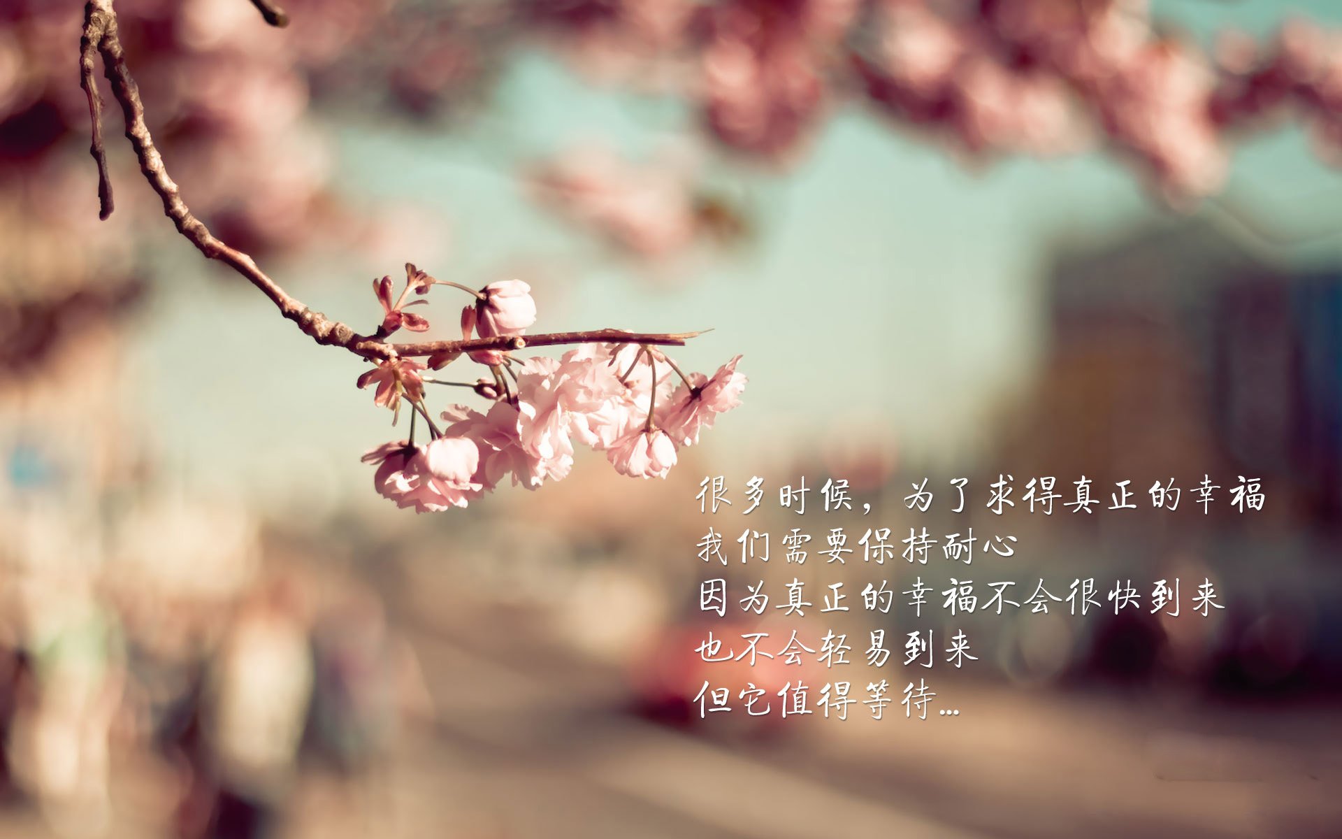 开云体育登录-阿克爆发，南非单节狂潮击溃洪都拉斯之谜