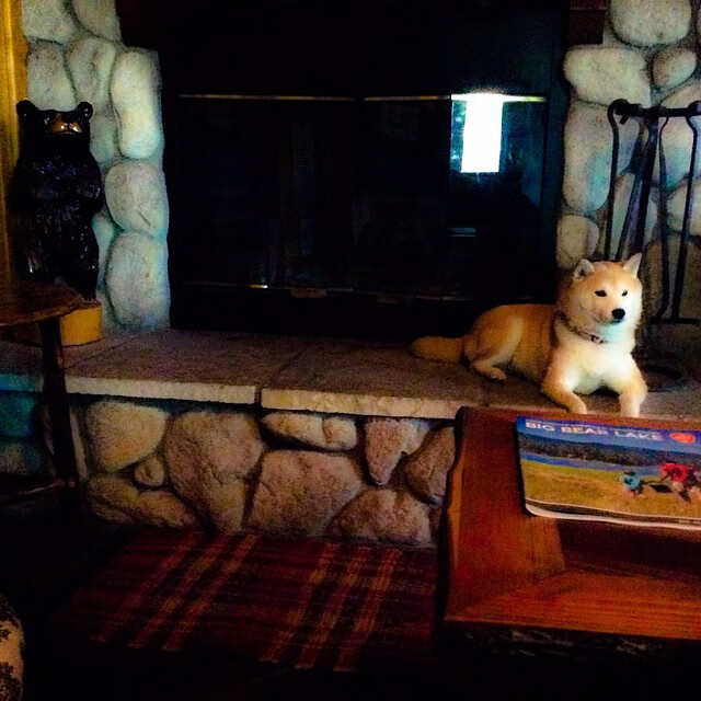 老鹰单节风暴席卷辽宁，爱德华兹年度焦点战主宰胜负