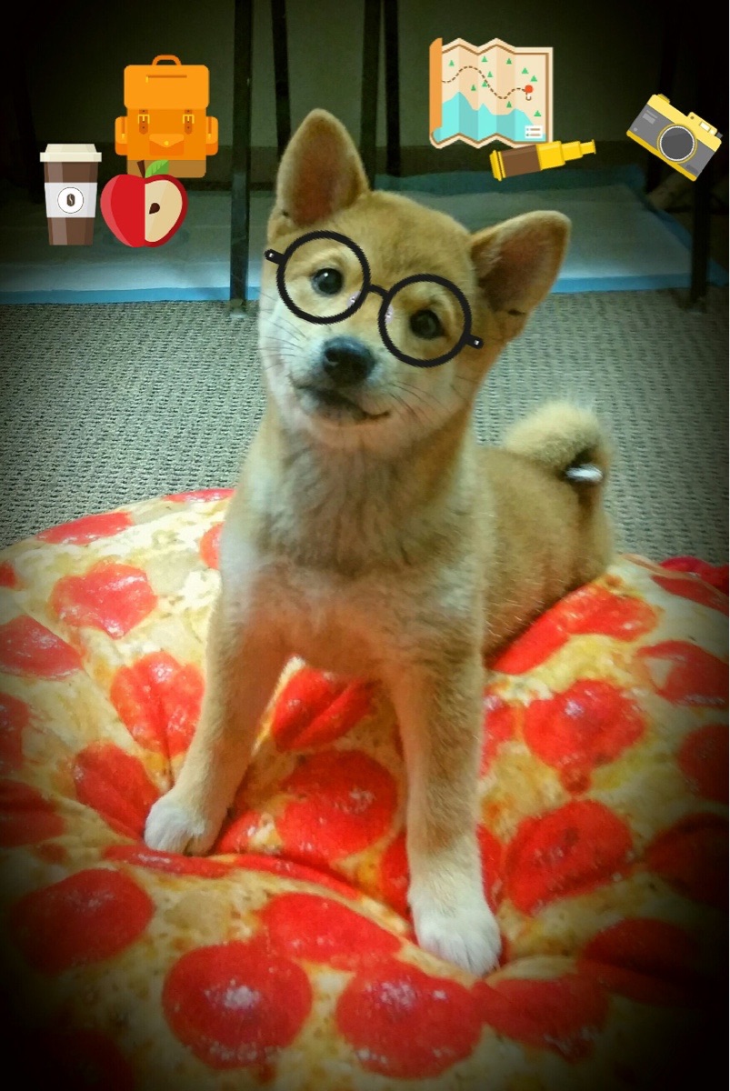 东方试炼，佩德里对阵中国队的救赎之战